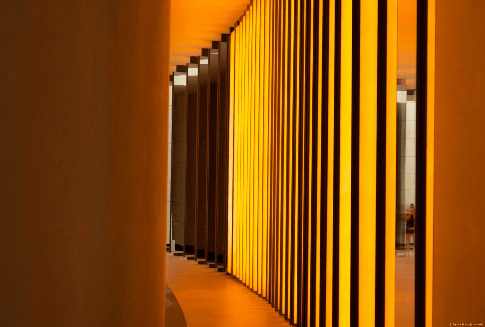 Institutionen_Antoine-Bussy_unsplash_1700x1148