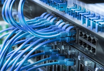 Nahaufnahme eines Netzwerk-Switches mit blauen Ethernet-Kabeln, die in die Ports eingesteckt sind.